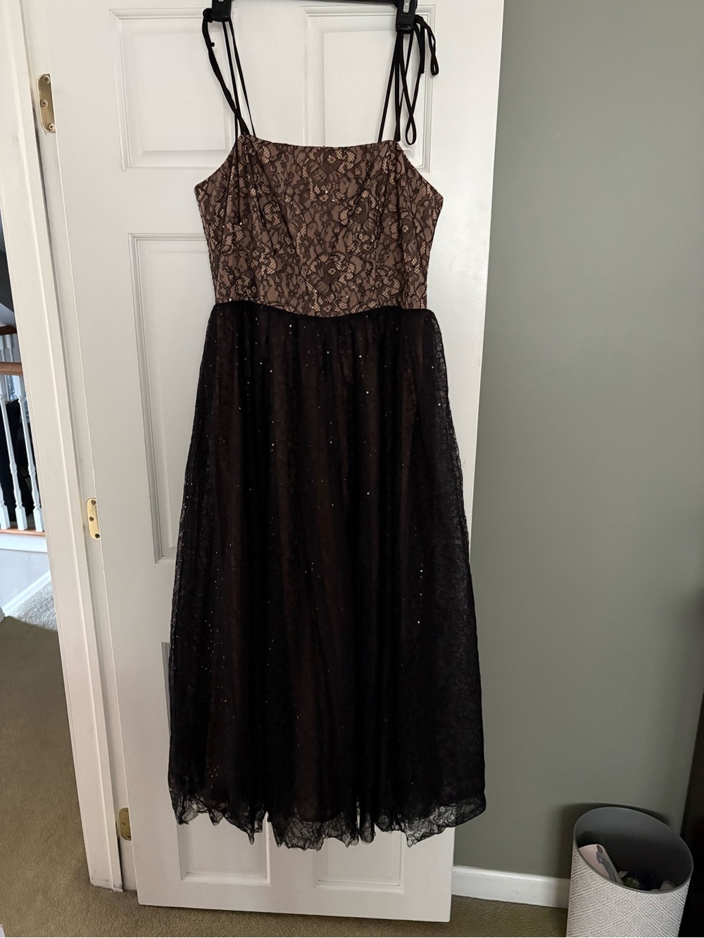Black Lace Bodice Black Sparkle Tulle Dress over tan lining